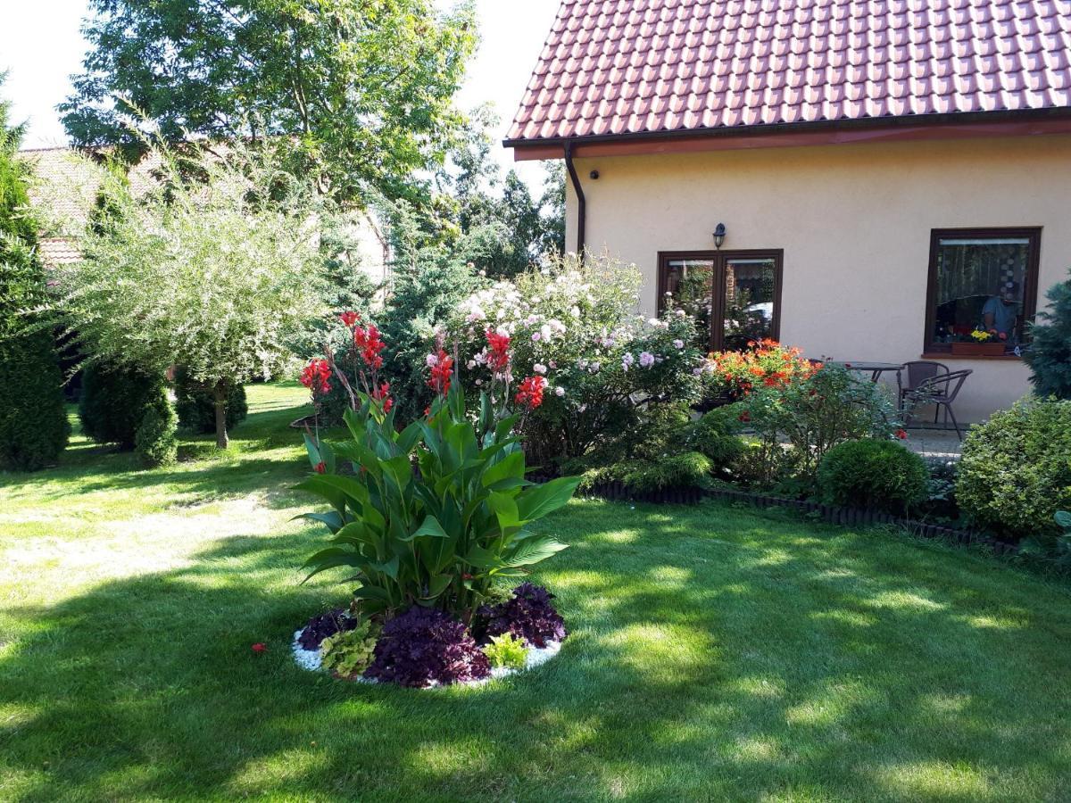 Agroturystyka Druzno Elblag Luaran gambar